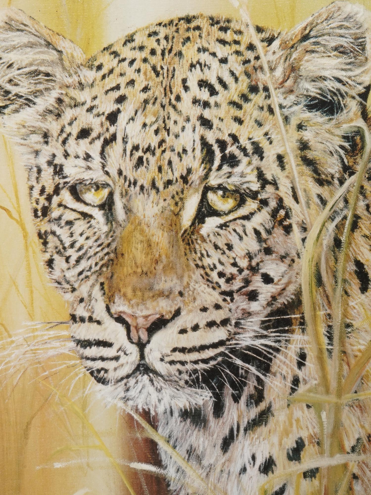 AMERICAN ART PRINT OF LEOPARD BY PHIL PRENTICE PIC-2